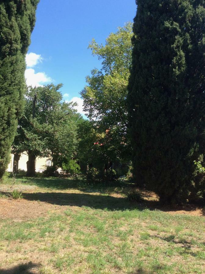 Art Home Bnb Καρκασόν Εξωτερικό φωτογραφία