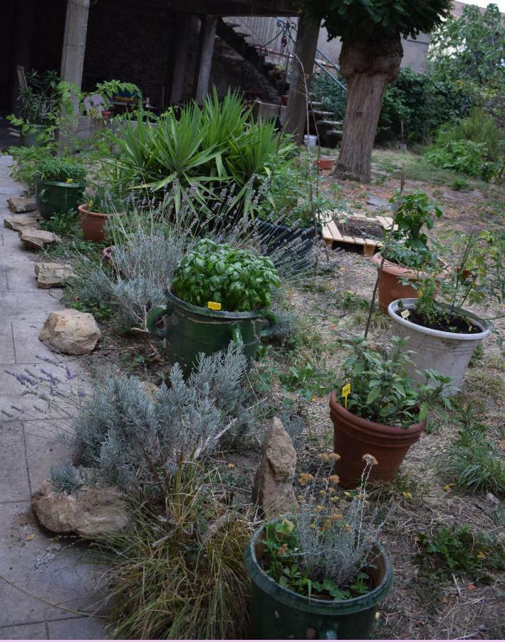 Art Home Bnb Καρκασόν Εξωτερικό φωτογραφία