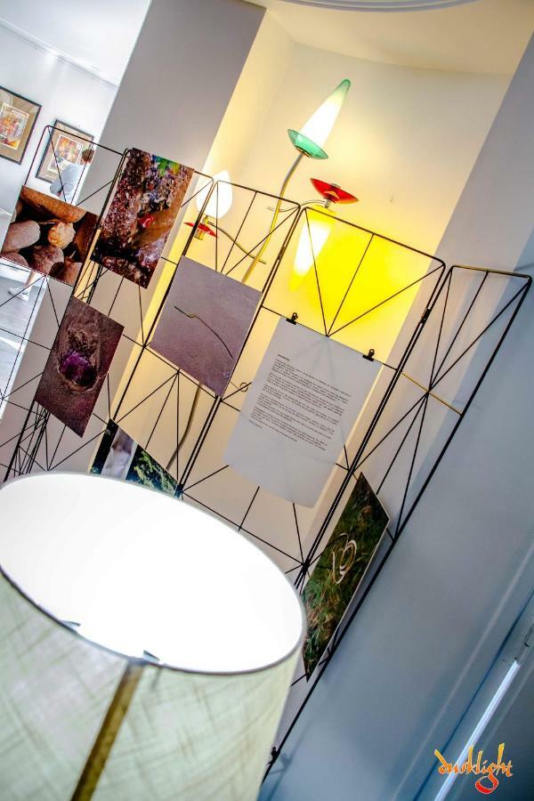 Art Home Bnb Καρκασόν Εξωτερικό φωτογραφία